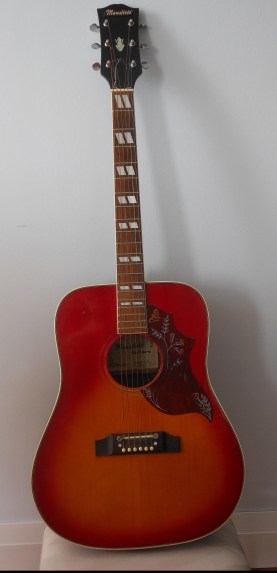 Steve's first guitar